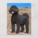 Search for explorers vertical postcards Black