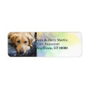 Search for dog owner return address labels Dogs