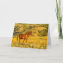 Search for galleries cards Horse