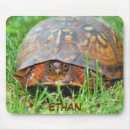 Search for backyard electronics Nature