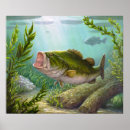 Search for big mouth art Fisherman