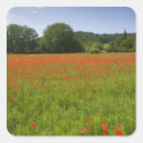 Search for field stickers Outdoors
