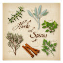 Search for herbs and spices posters Food