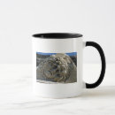 Search for medusa mugs Hair
