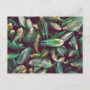 Search for mussels postcards Ocean