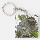 Search for cute sloth key rings Adorable