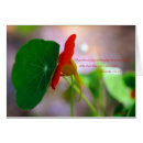 Search for plants other Garden