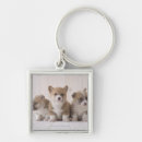 Search for corgi key rings Animals