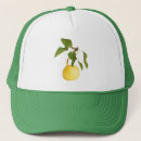 Search for vitamins hats Fresh