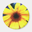 Search for tiger lily magnets Pink