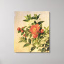 Search for berry rose art Nature