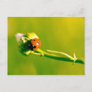 Search for sprig postcards Green
