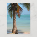 Search for punta cana postcards Ocean