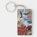 Search for blue jays key rings Cyanocitta cristata