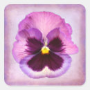 Search for pansy flower stickers Purple