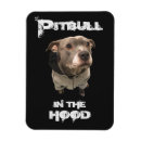 Search for pitbuls magnets Pitbull