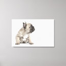 Search for innocence canvas prints Domestic animals