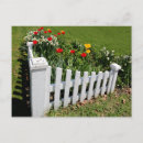 Search for picket postcards Floral