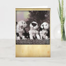 Search for sheepdogs cards English