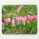 Search for bleeding heart electronics Nature