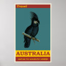 Search for black cockatoo posters Vintage