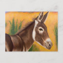 Search for wild donkeys postcards Animal