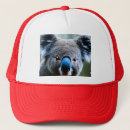 Search for staring hats Wildlife