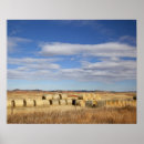 Search for bale posters Agriculture