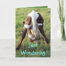 Search for calf cards Farmer