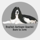 Search for english springer spaniel stickers Dog