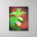 Search for petite canvas prints Botanical