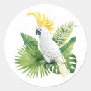 Search for cockatoo stickers Nature