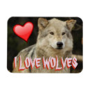 Search for wolves magnets Beautiful