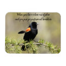 Search for bad day magnets Humor