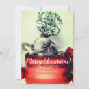 Search for french bulldog cards Red