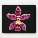 Search for pink orchid mouse mats Blossom