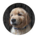 Search for labrador cookware Cute