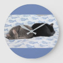 Search for fish clocks Cat