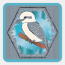 Search for kookaburra bird stickers Laughing