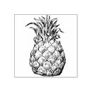 Search for fruit rubber stamps Hawaii