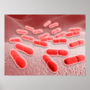 Search for biomolecules posters Medical