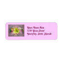Search for daylily return address labels Flower