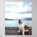 Search for happy dog posters Nature