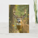 Search for buck cards Antlers