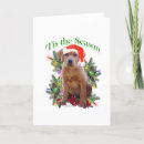 Search for black labrador christmas cards Retriever