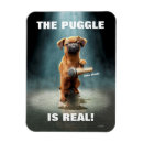 Search for drop magnets Funny