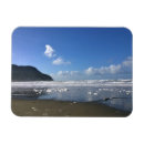Search for seaside magnets Sand