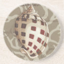 Search for seaside coasters Coastal