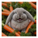Search for bunny posters Cute animals