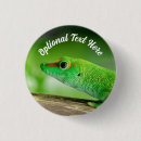 Search for gecko badges Animal